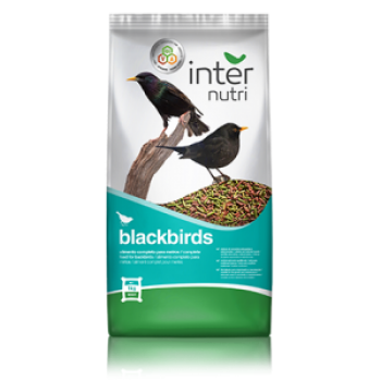 Dist. de Alimentos p/ t/ tipo de Animais | Canários BLACKBIRDS VIT | Saco de 1/ 5/ 20 kg  Alimentos completo para MELROS - VITAMINADO.